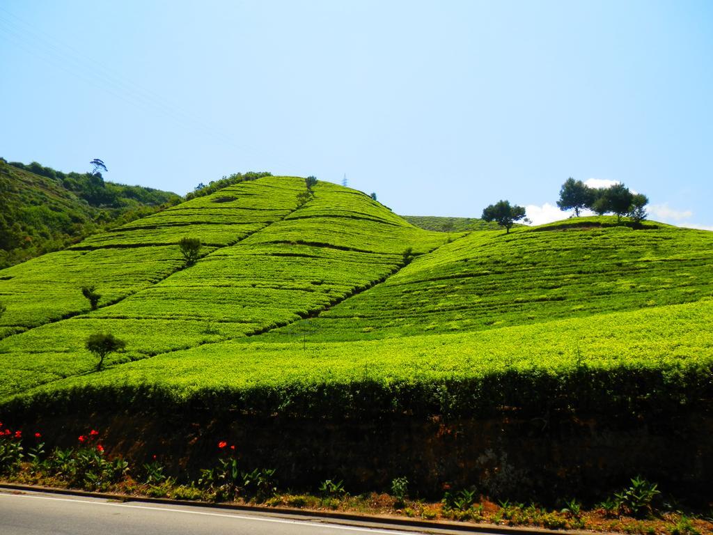 Hotel Eranga Guest Nuwara Eliya Exteriér fotografie